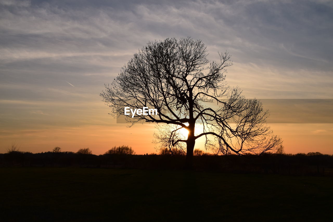 Silhouette bare tree on field against sky during sunset