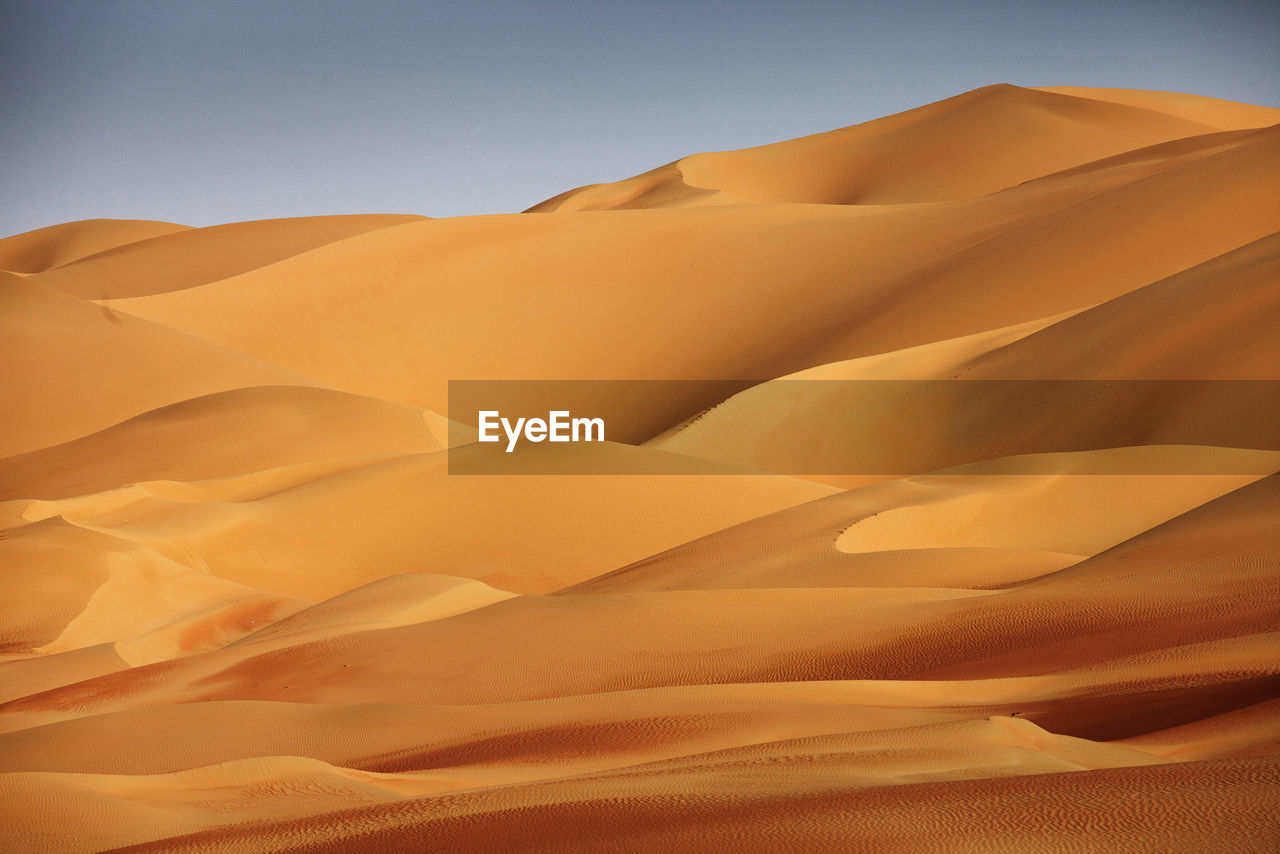 Scenic view of sand dunes