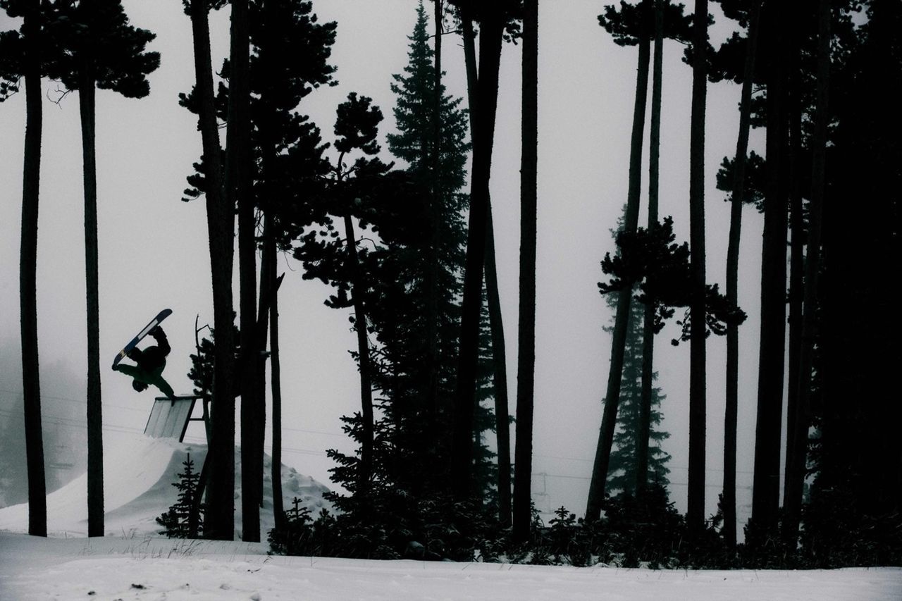 Snowboarding with silhouette trees in foreground