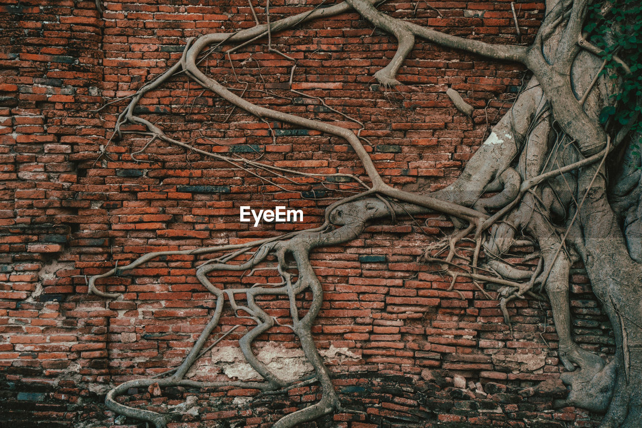 FULL FRAME SHOT OF BRICK WALL WITH BUILDING