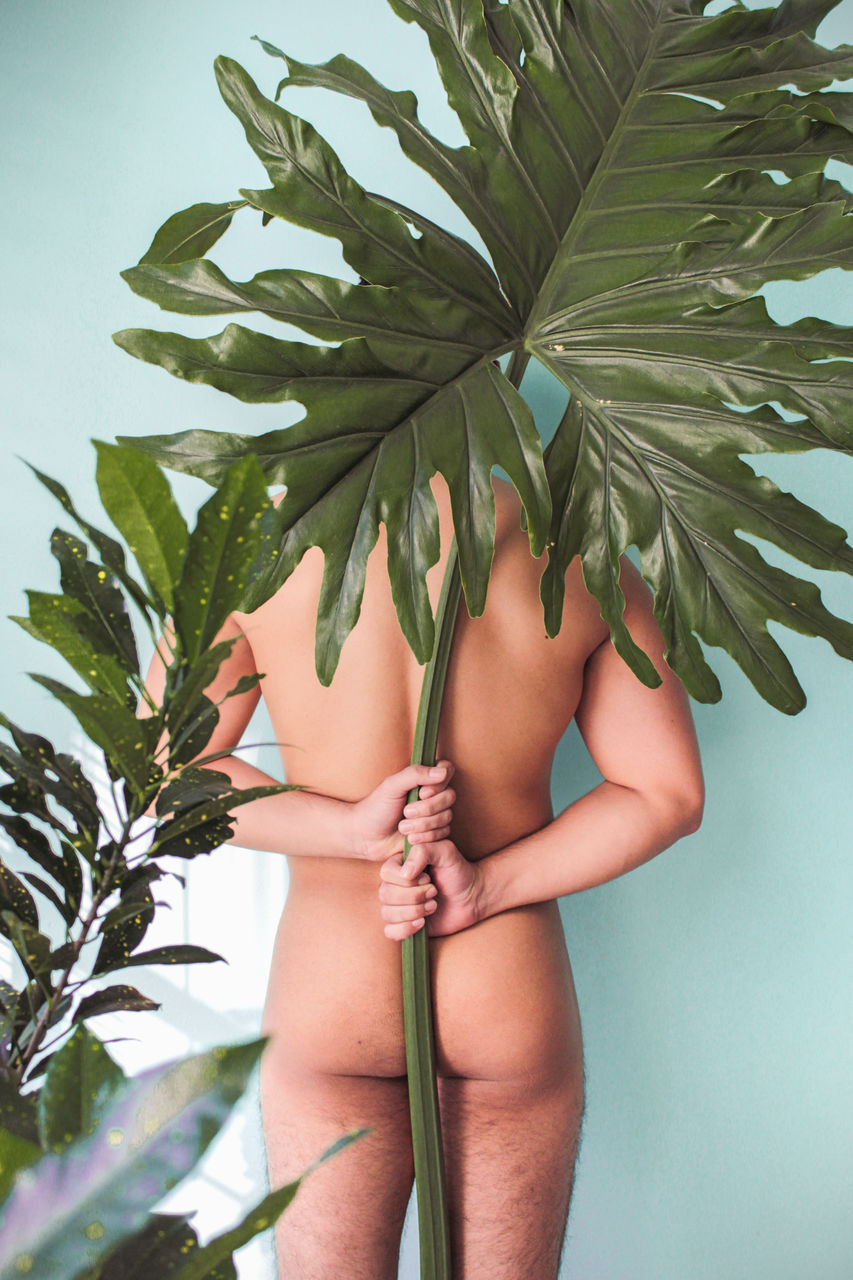 Midsection of naked man holding tree against wall
