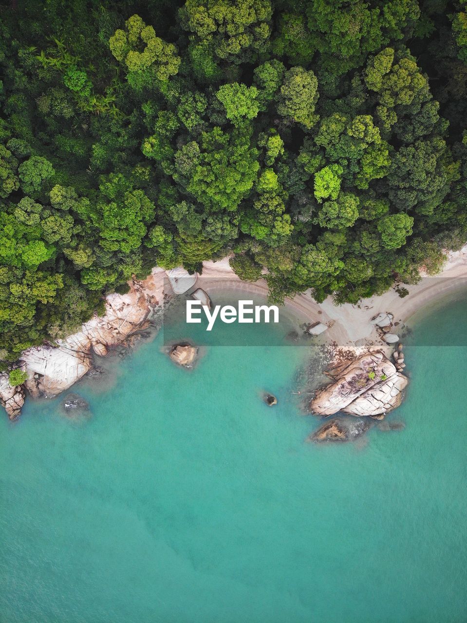 Aerial view of sea by trees