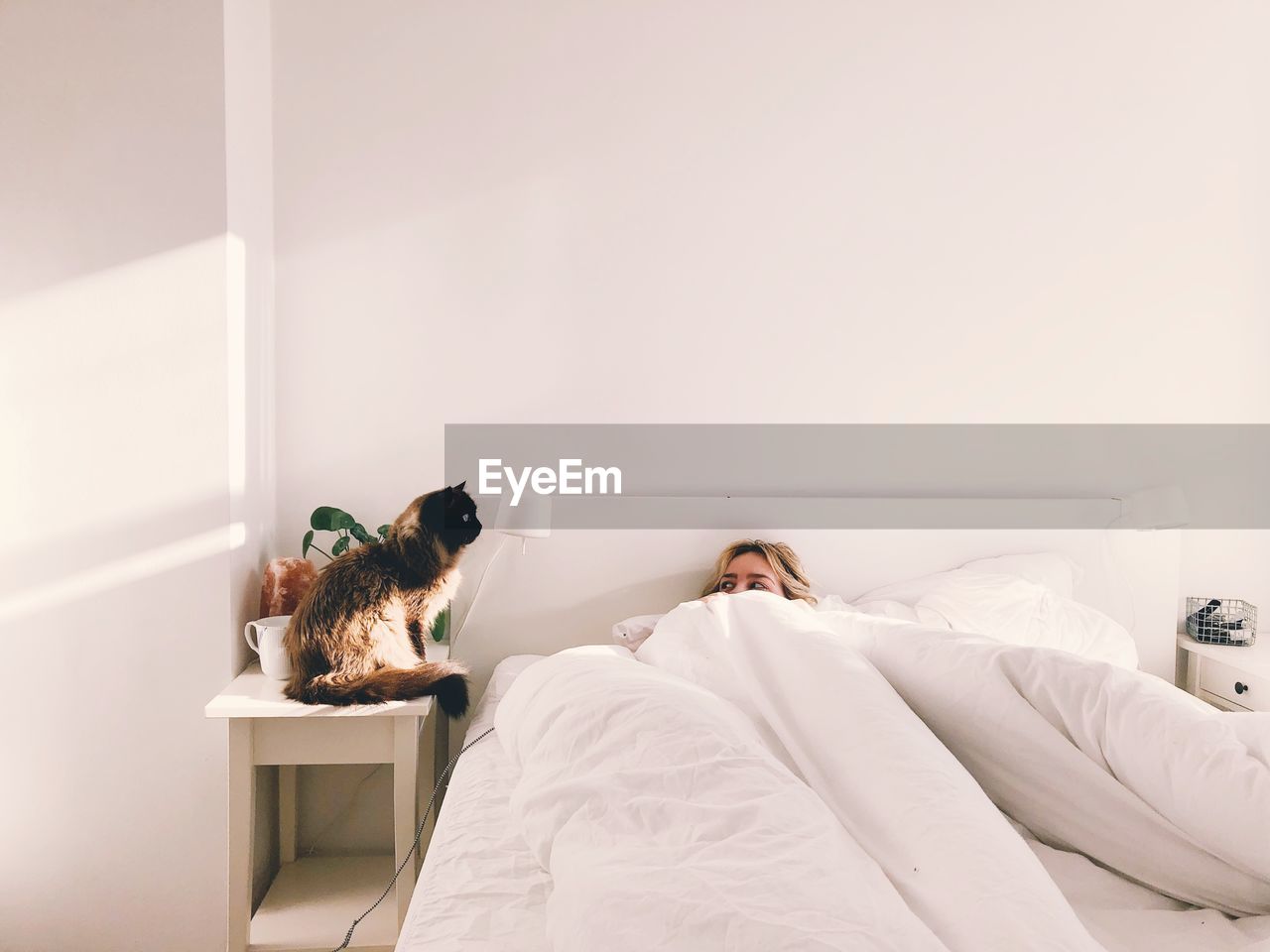 Cat sitting next to woman in bed