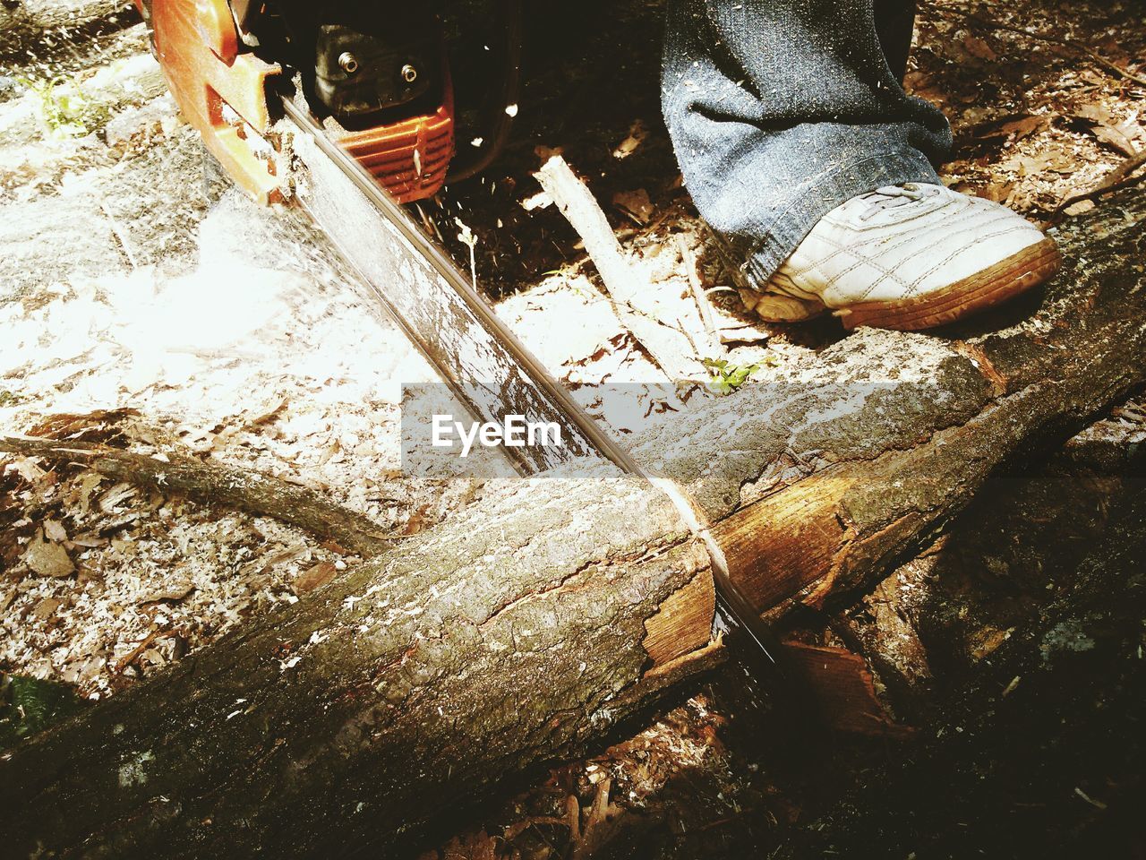 High angle view of person cutting wood with chainsaw