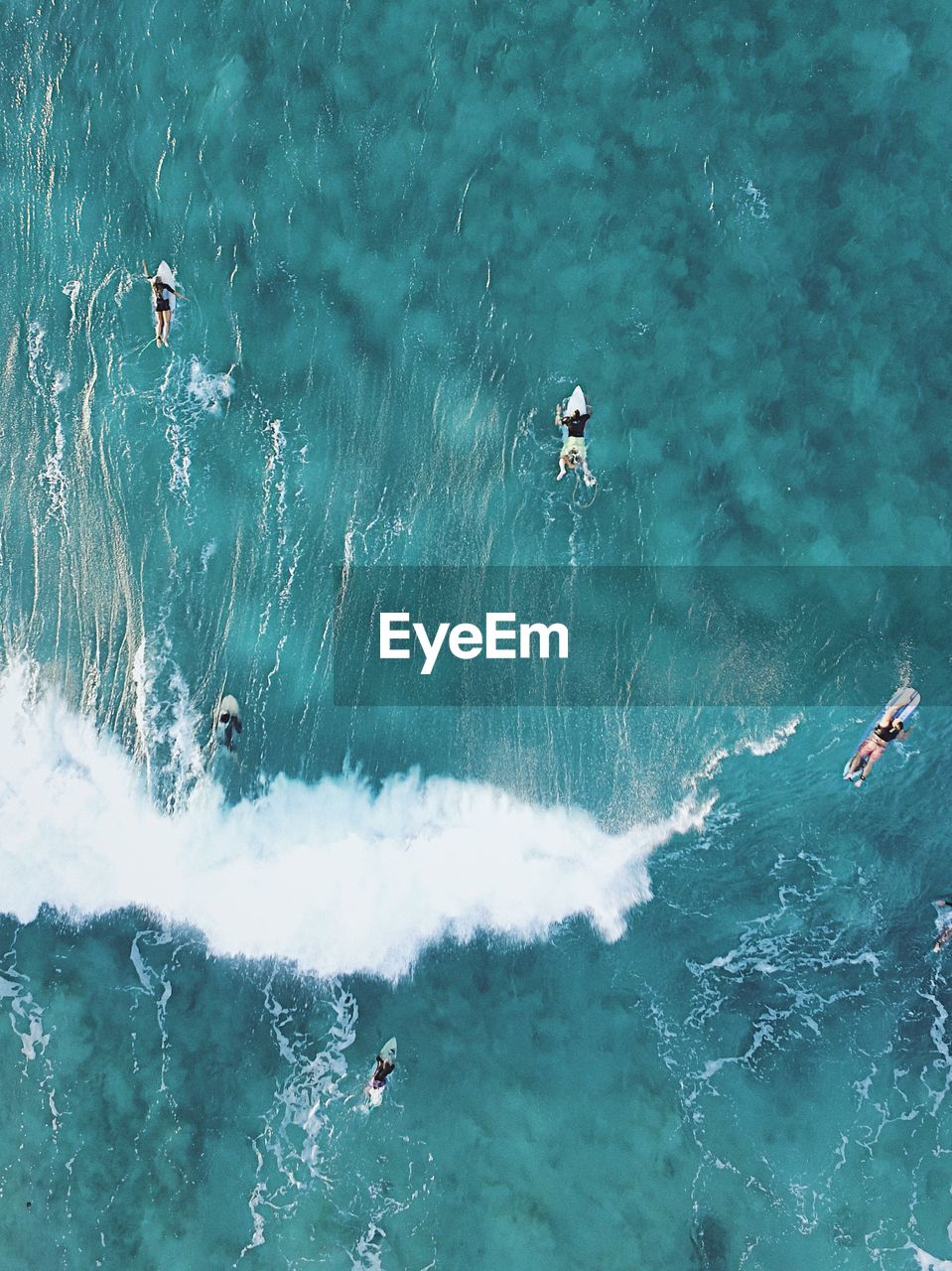 Directly above shot of people surfing in sea