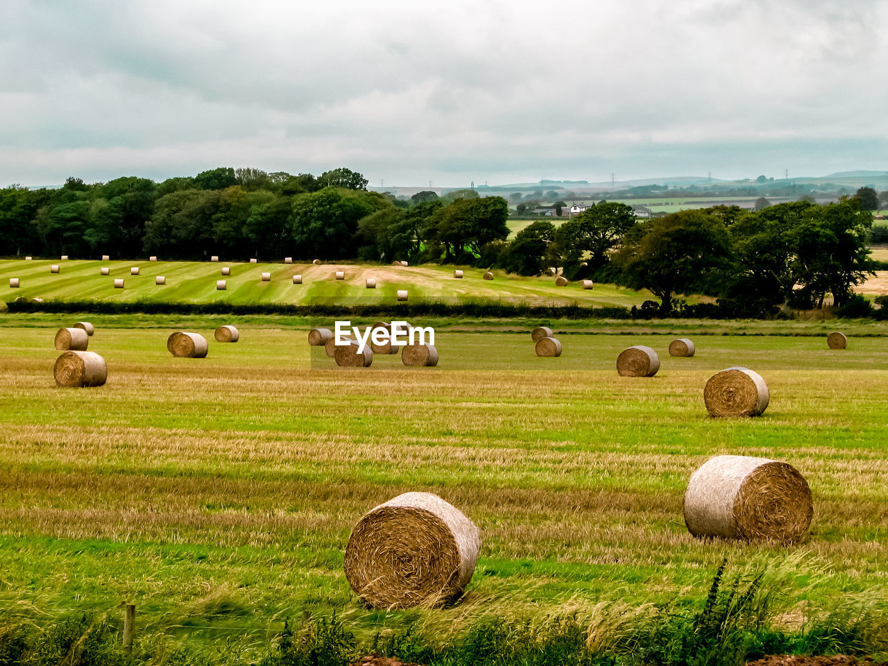Hay bales on field against sky