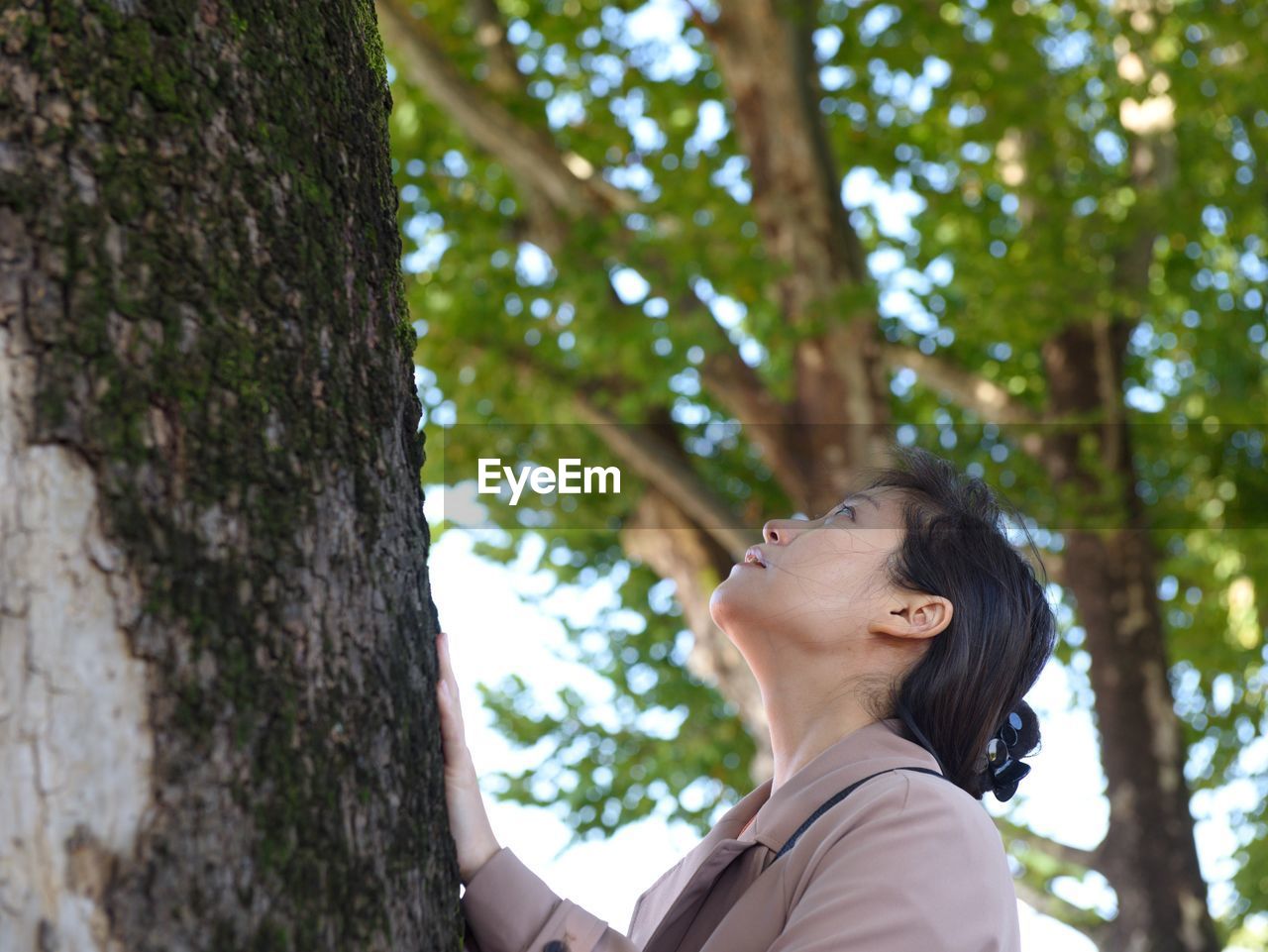 Low angle view of woman looking up tree