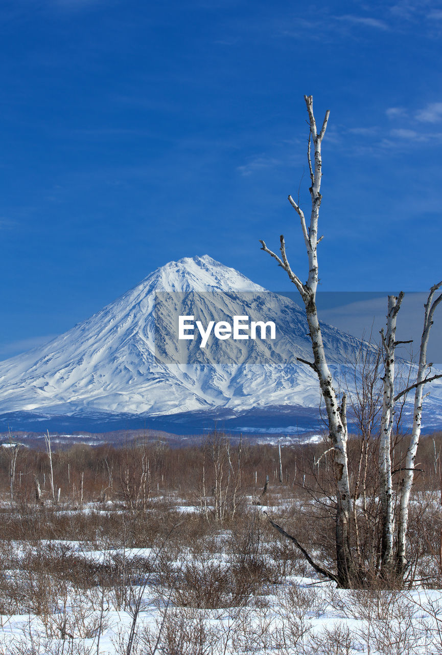 Koryaksky volcano in kamchatka and the blue sky