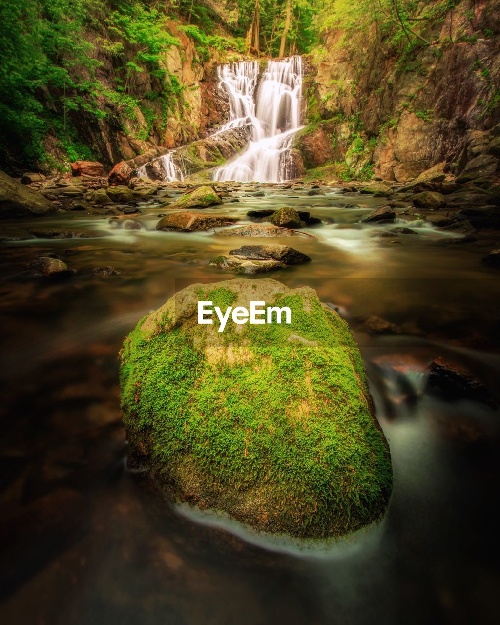 VIEW OF WATERFALL IN FOREST