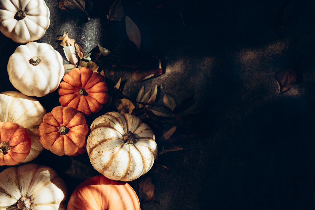 Pile of different pumpkins with strong shadows. halloween or thanksgiving holiday backgrounds 