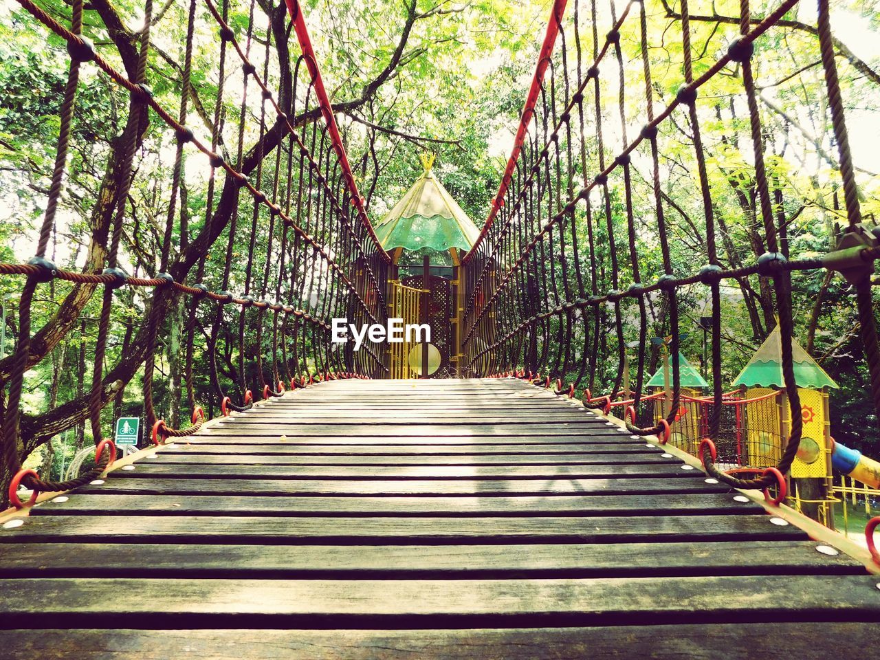 FOOTBRIDGE IN FOREST