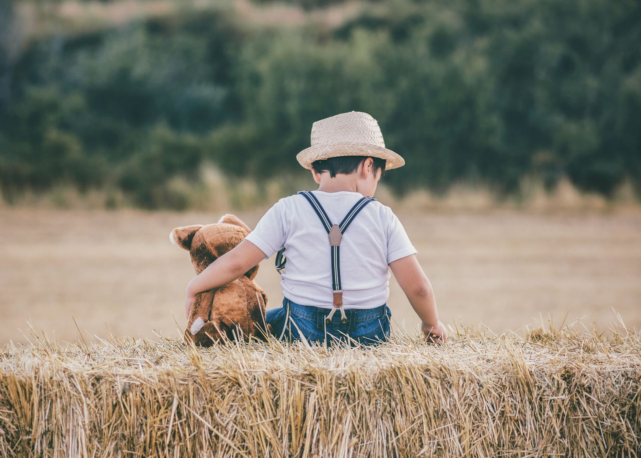 Rear view of boy with stuffed toy sitting on hay bale