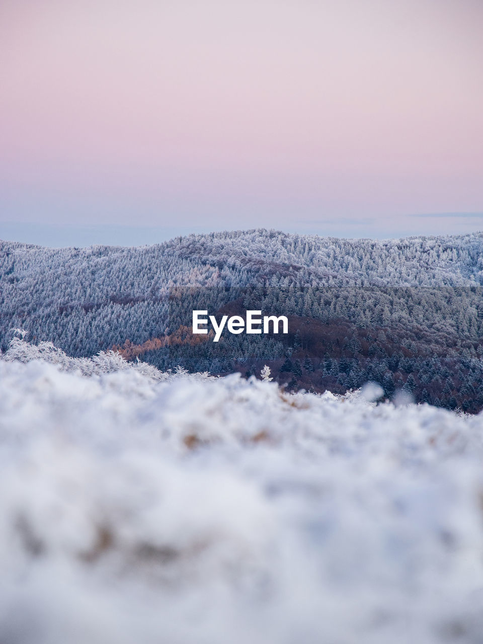 Scenic winter landscape with snow covered mountains and trees at sunset. 