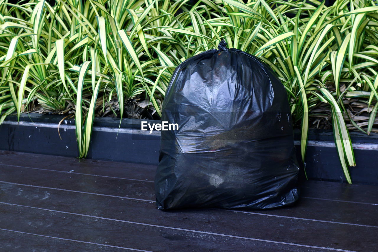 Garbage bag against plants