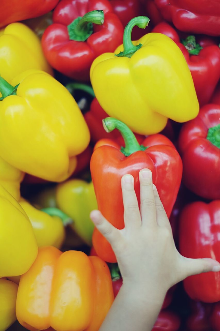 Cropped hand of child touching bell peppers in market