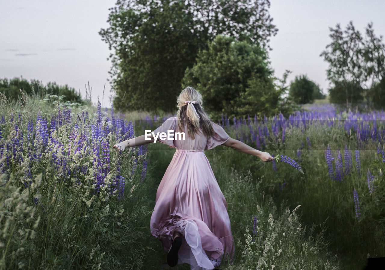 Beautiful girl in the field