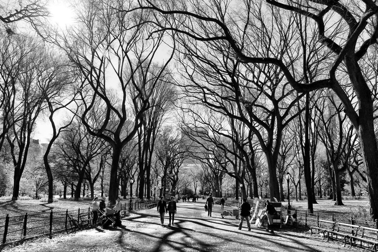 People on street amidst bare trees