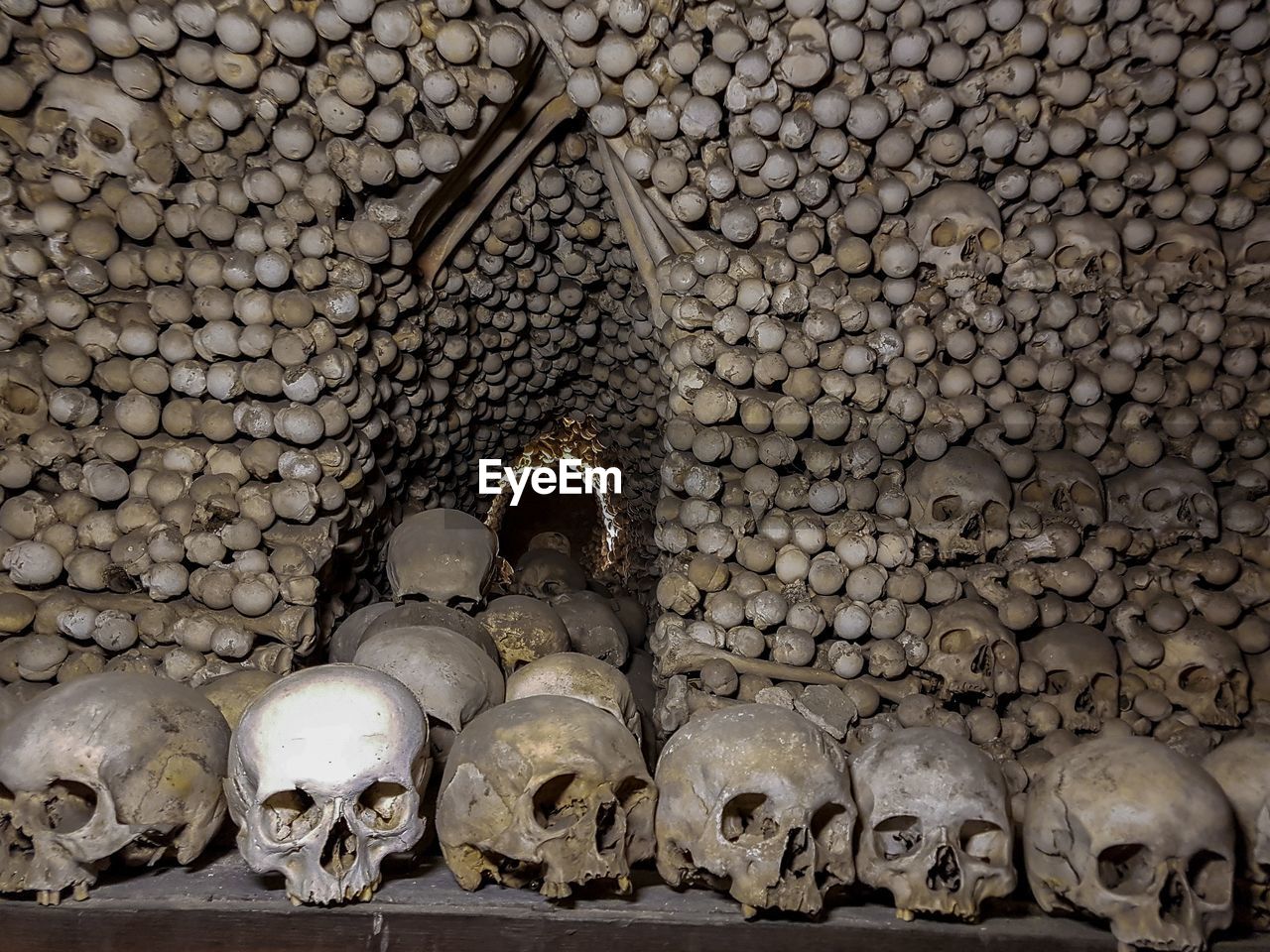Human skulls against patterned wall