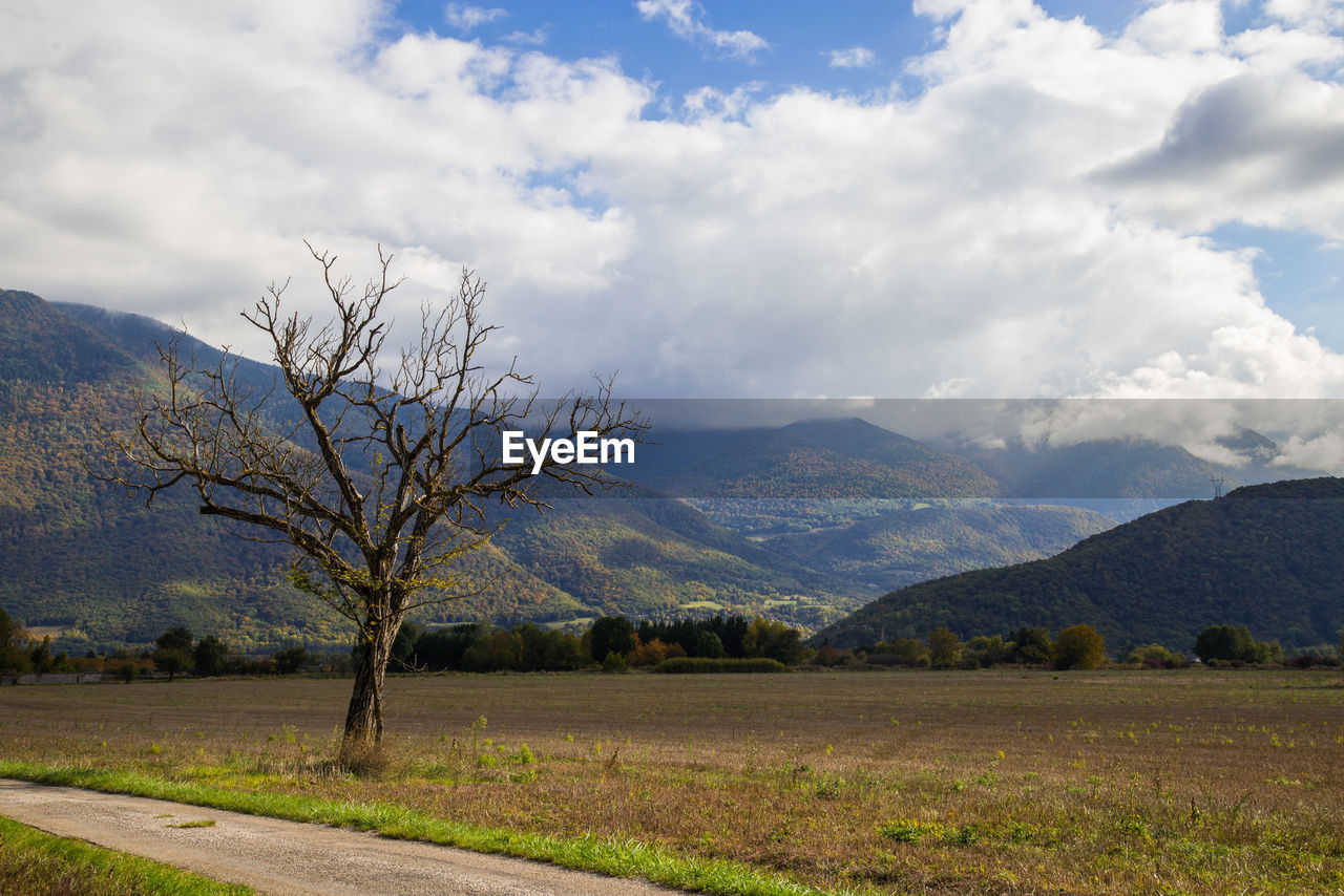 VIEW OF TREES ON LANDSCAPE AGAINST SKY