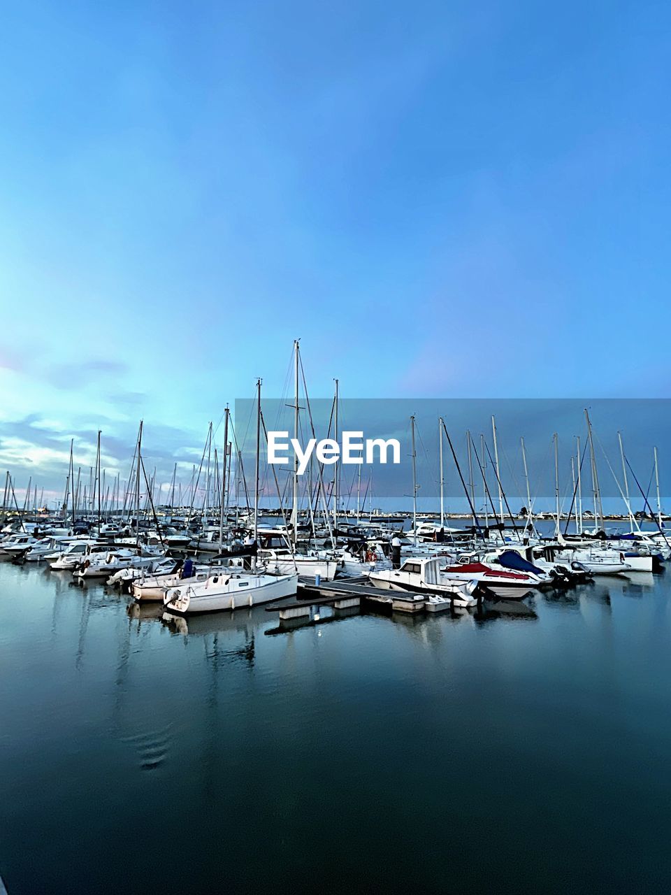 Sailboats moored in harbor