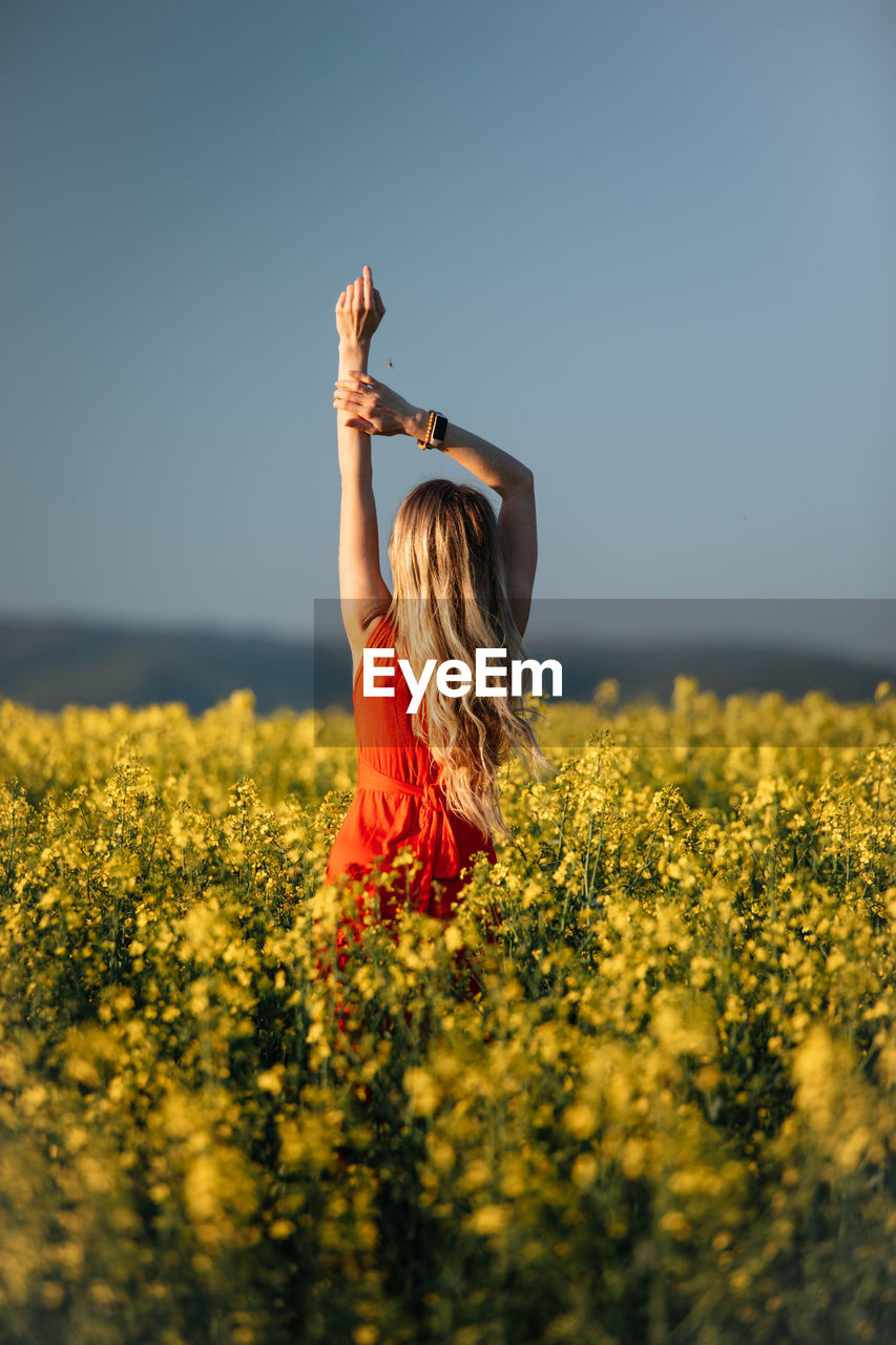 rear view of woman standing amidst yellow flowering plants on field against clear sky