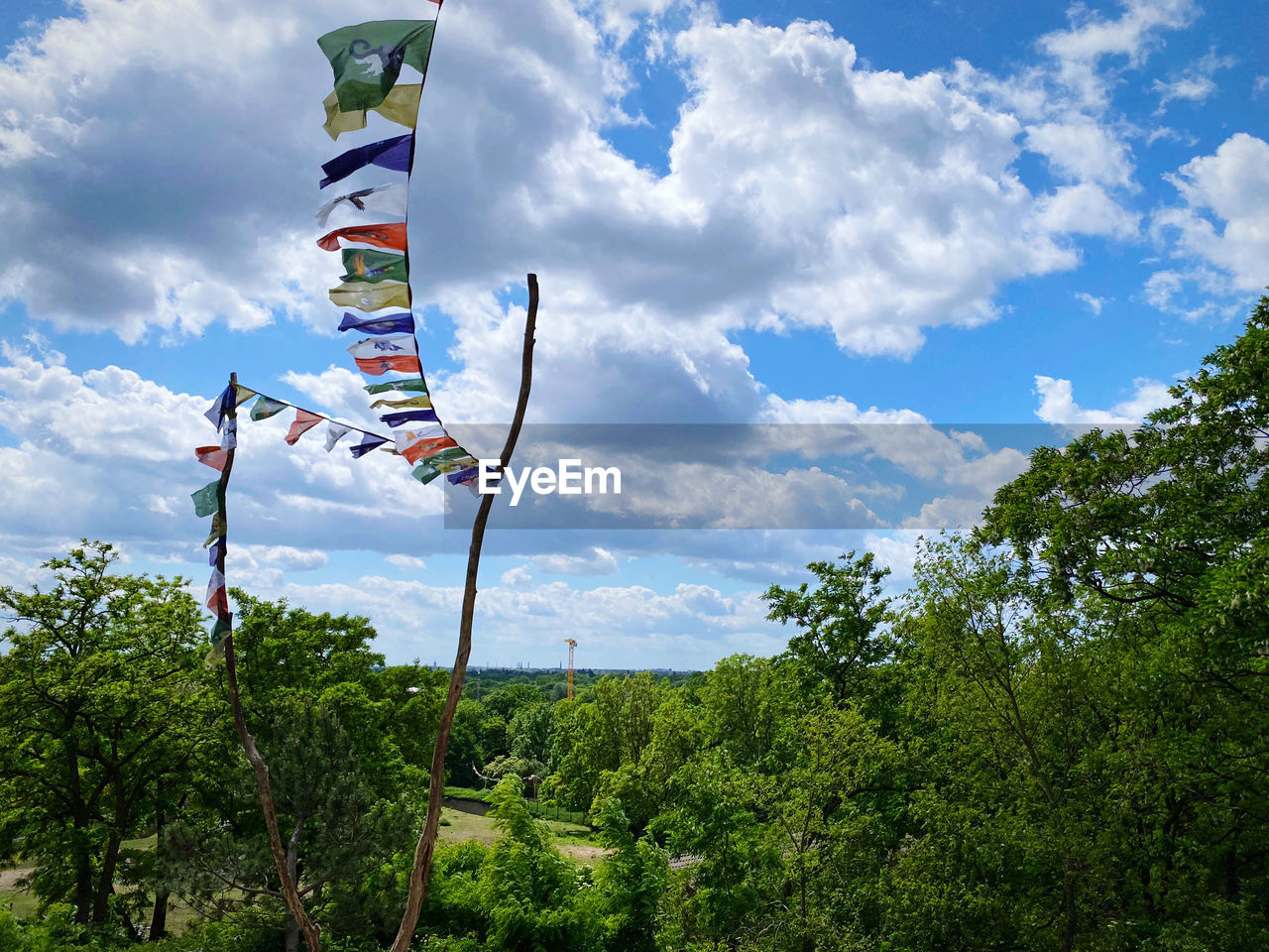 sky, cloud, nature, tree, plant, flag, environment, day, windsports, wind, low angle view, no people, outdoors, green, pole, blue, kite sports, beauty in nature, land