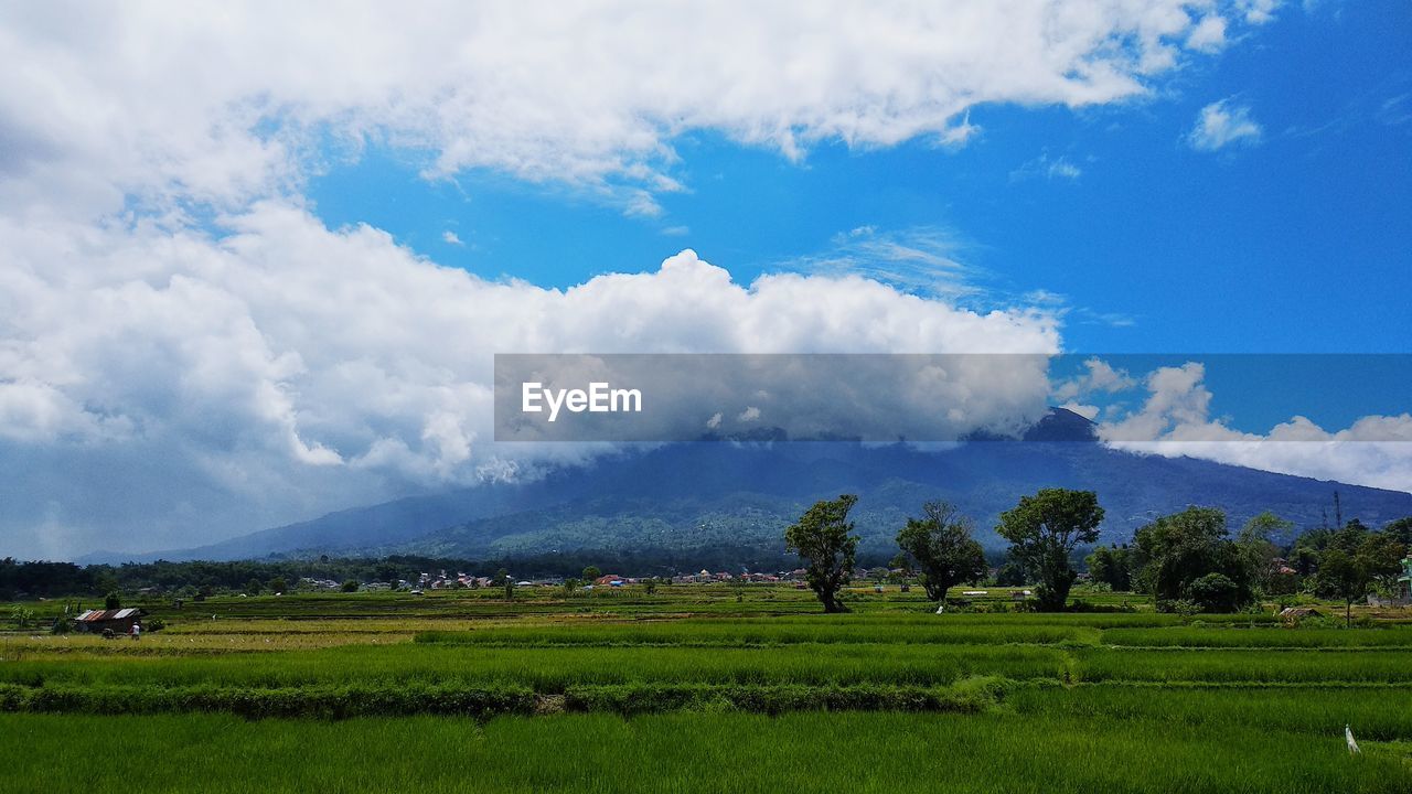 Scenic view of land against cloudy sky