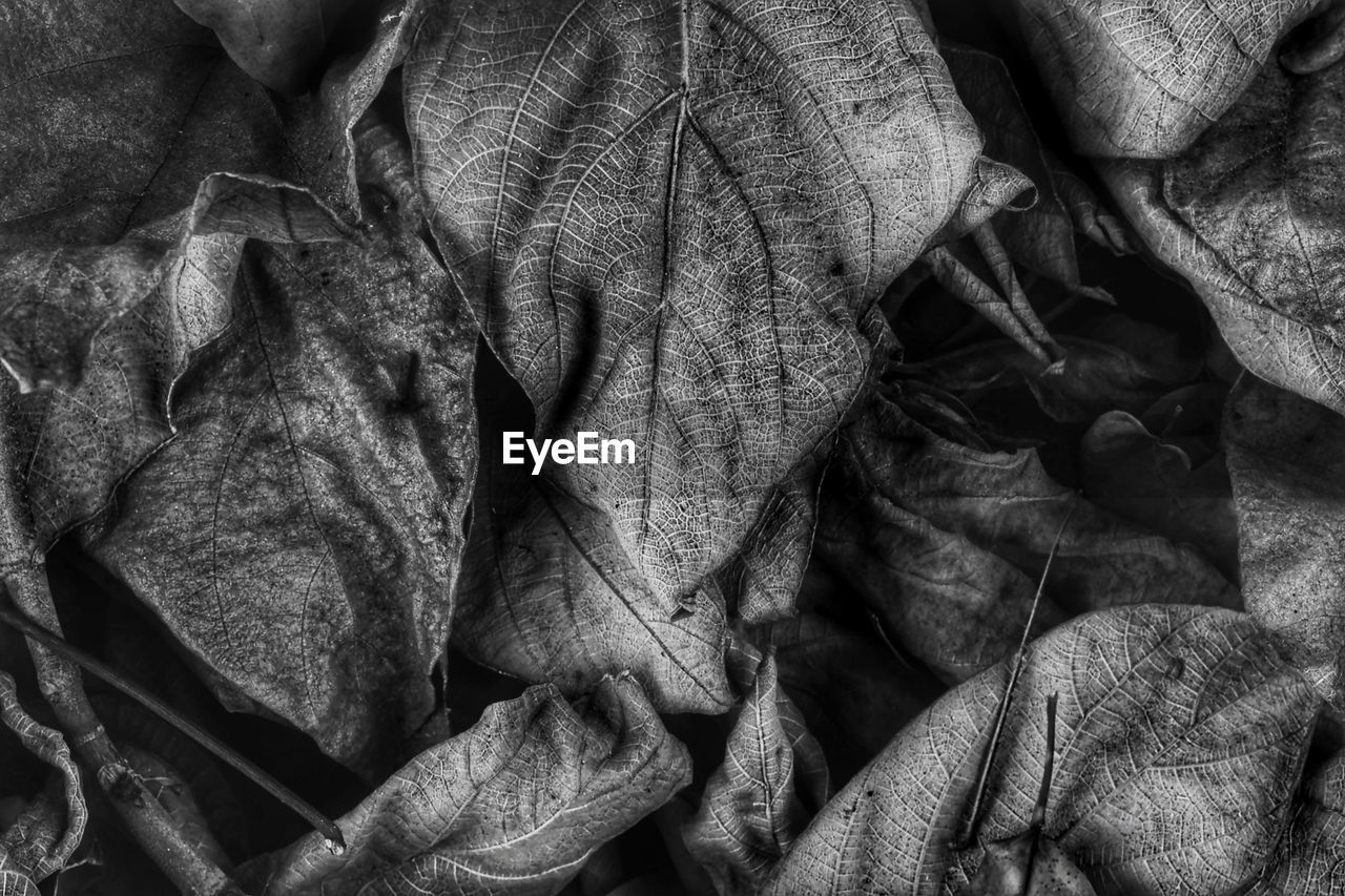 Environmental Still Life Photography Abstract Macro On Eyeem
