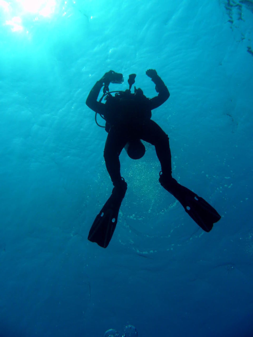 Diver in water