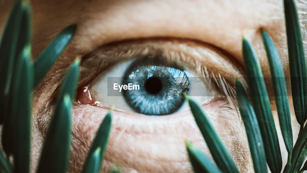 Close-up portrait of human eye seen through plants