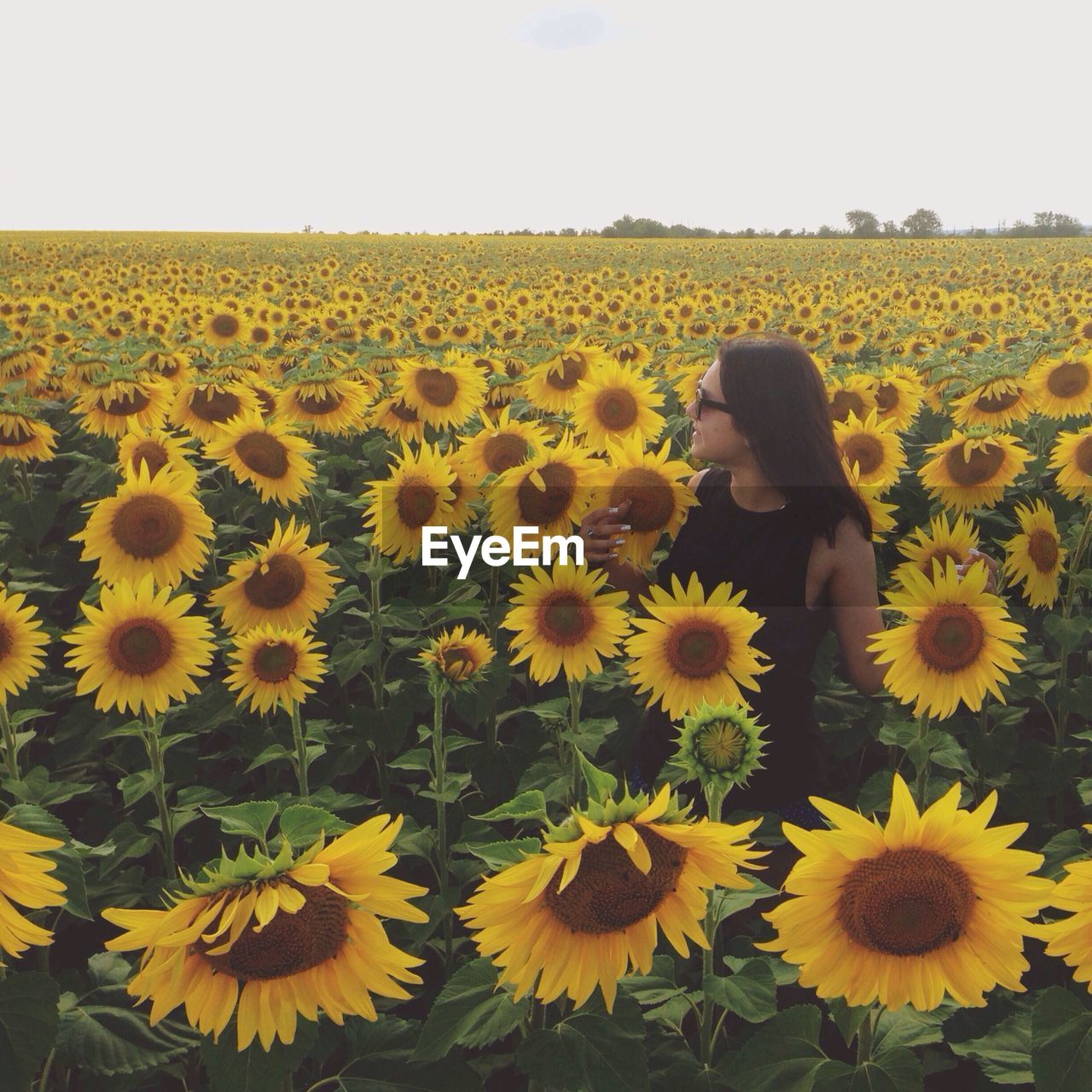 Mid adult woman standing amidst sunflower field