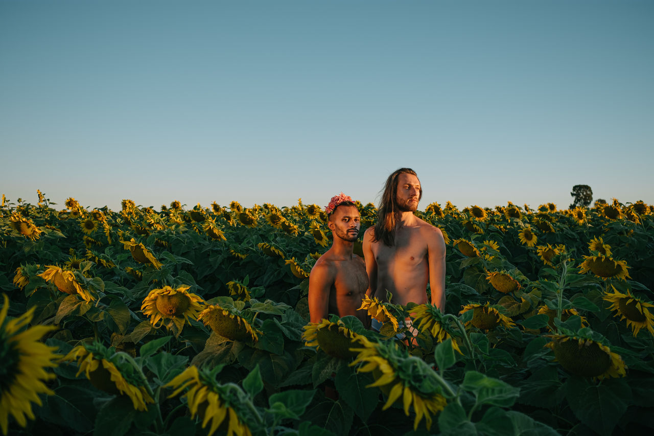 Shirtless gay men looking away while standing amidst sunflowers against clear sky