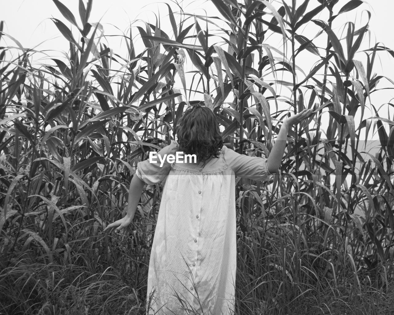 REAR VIEW OF WOMAN STANDING BY PLANTS ON FIELD