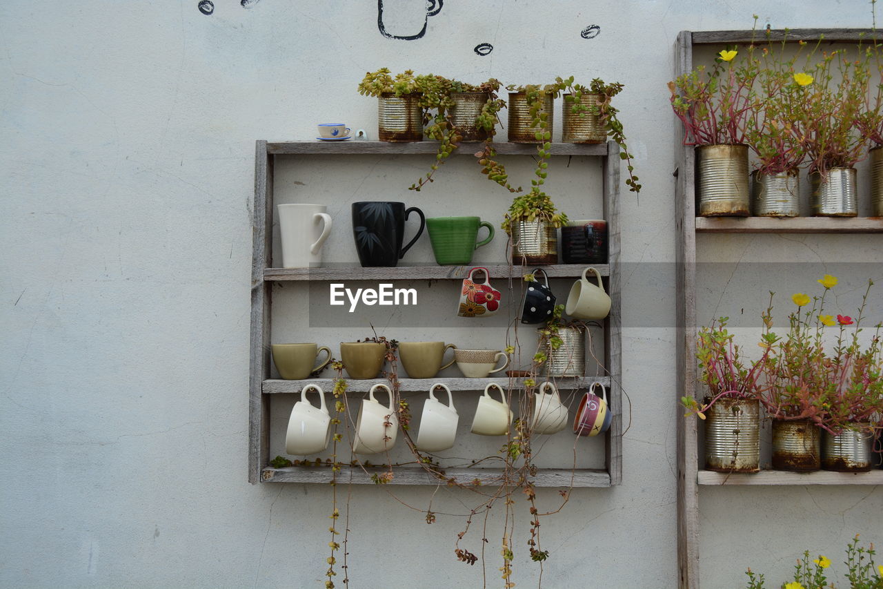 wall, no people, shelf, art, wall - building feature, interior design, day, plant, hanging, architecture, outdoors, nature, flower, house