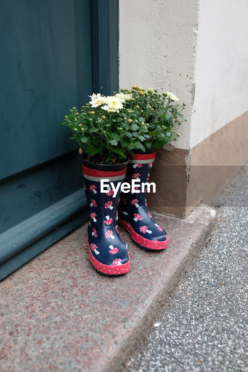 Two rubber boots standing in a doorframe in the street filled with flowers