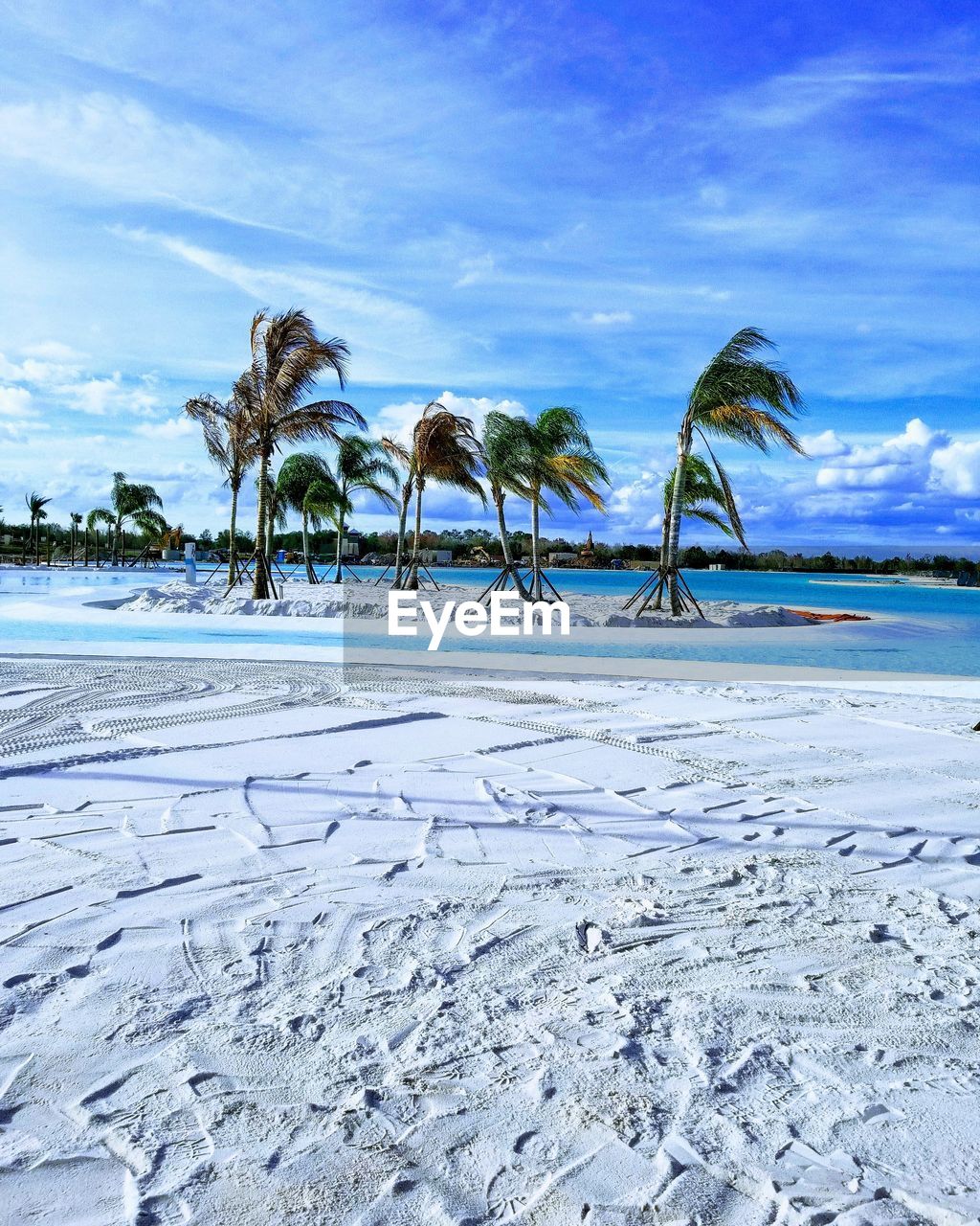 Palm trees on beach against blue sky