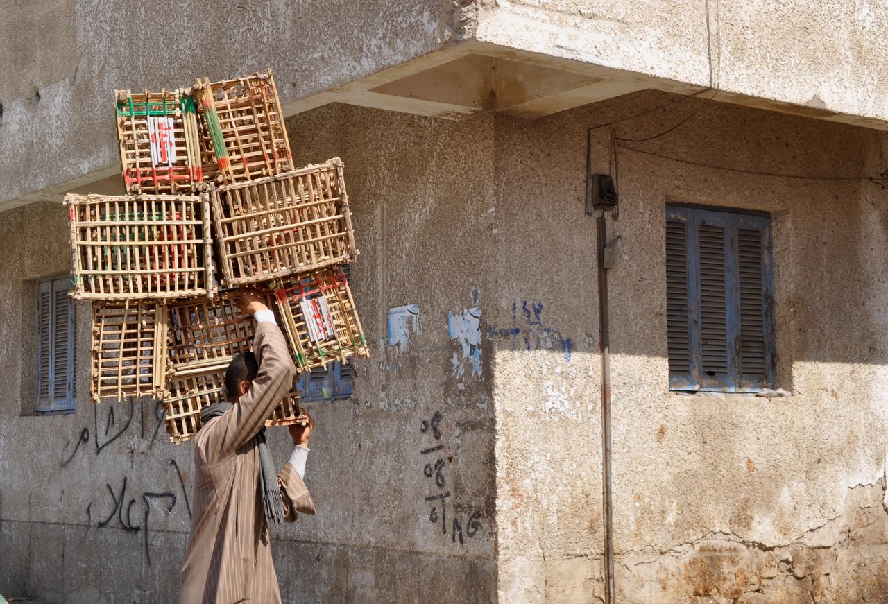 Side view of man carrying wooden crates by old building