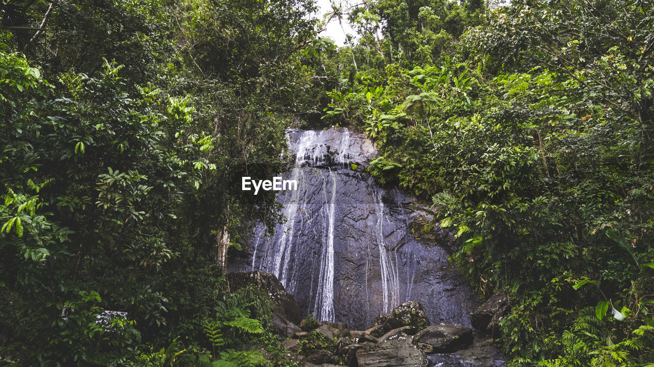 waterfall, plant, tree, water, nature, growth, beauty in nature, green, rainforest, forest, water feature, scenics - nature, land, motion, flowing water, natural environment, no people, day, jungle, lush foliage, foliage, outdoors, body of water, long exposure, environment, woodland, non-urban scene, tranquility, vegetation, splashing, stream, low angle view, rock, idyllic