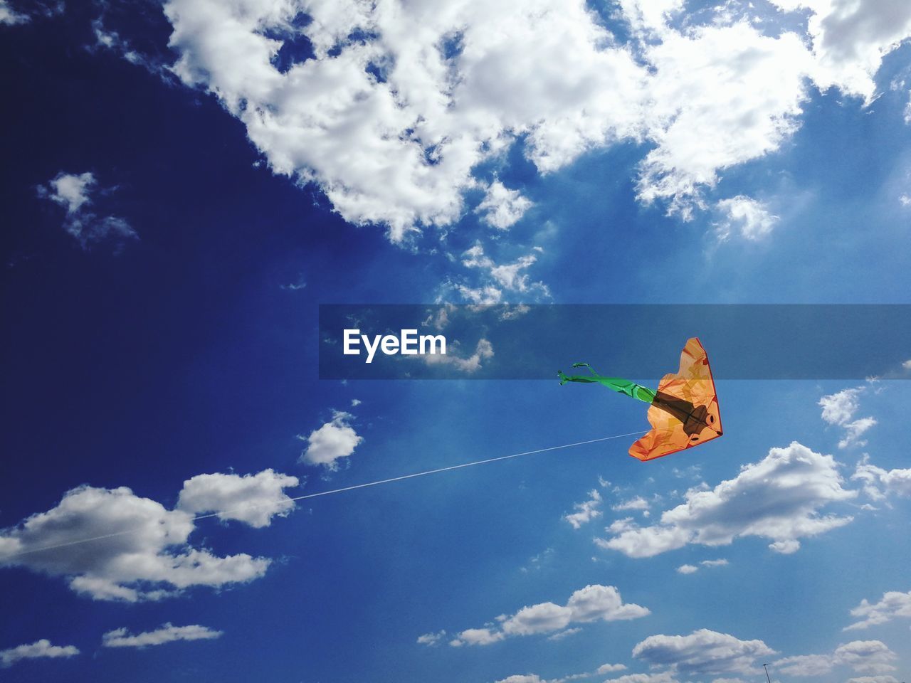 LOW ANGLE VIEW OF A BIRD FLYING AGAINST SKY