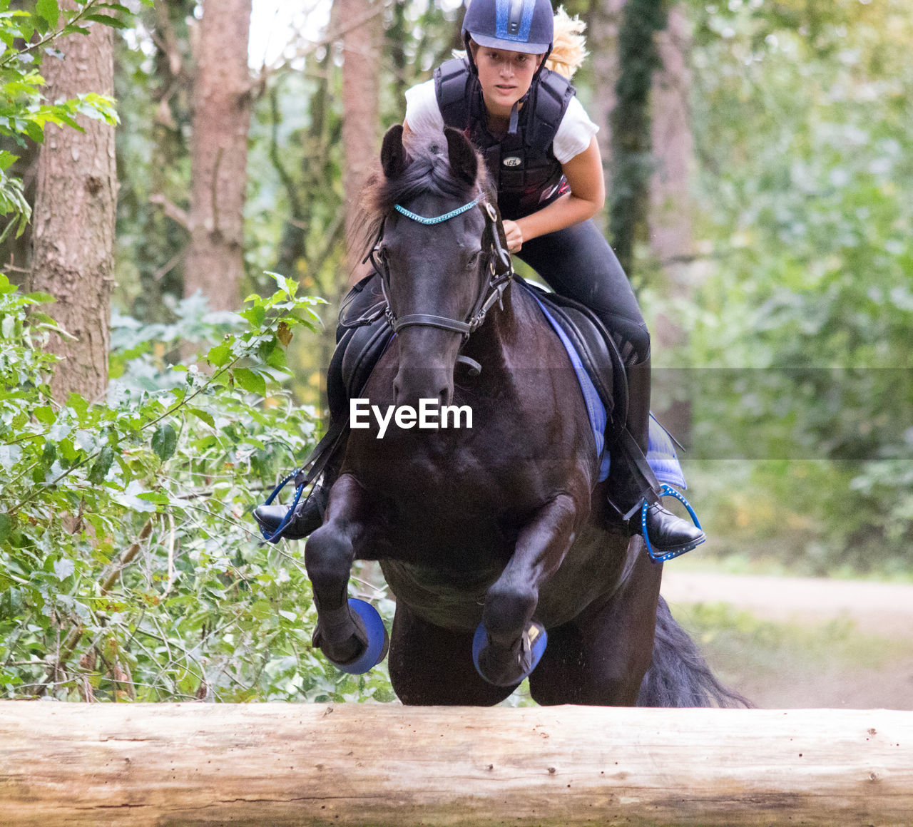 Woman riding horse jumping over obstacle at forest