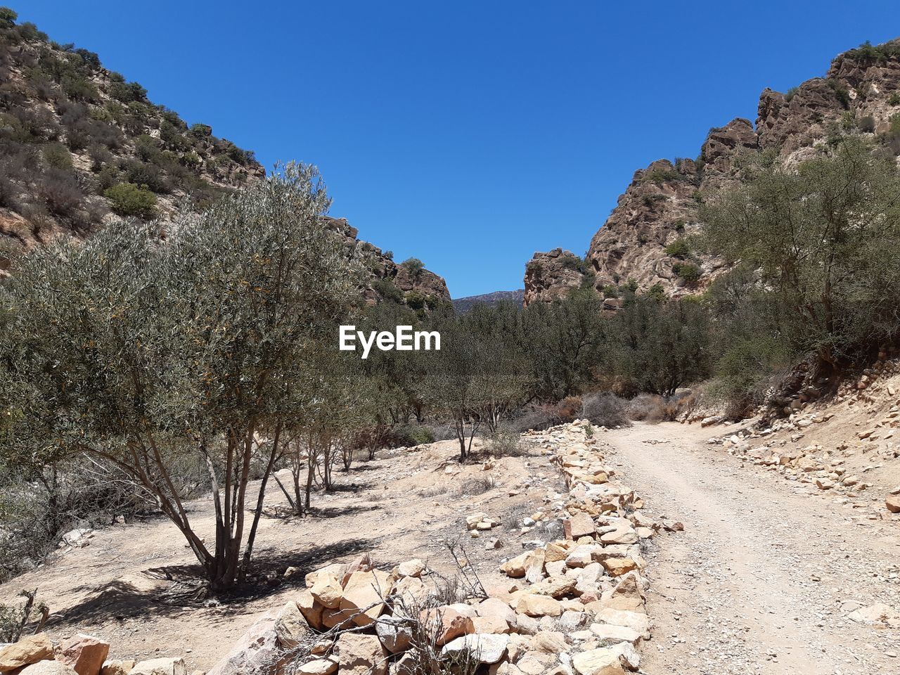SCENIC VIEW OF LANDSCAPE AGAINST CLEAR SKY