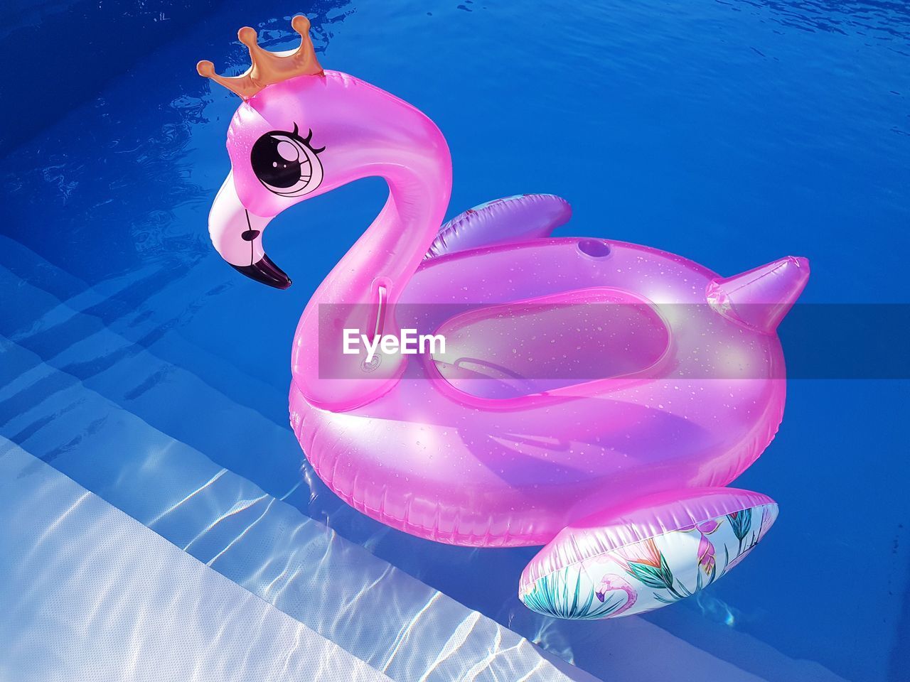 High angle view of stuffed toy in swimming pool