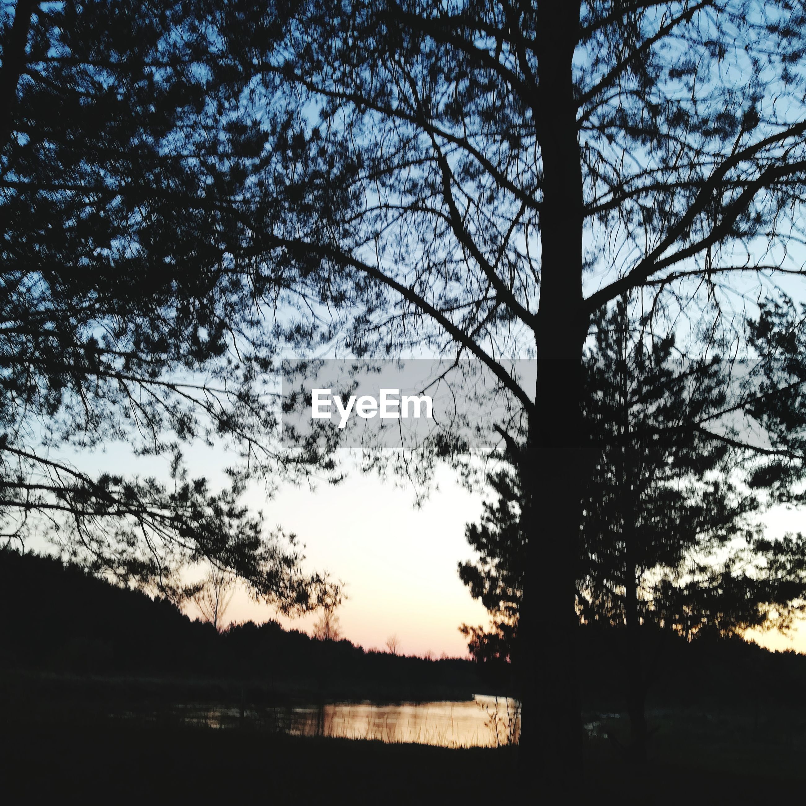 Tree Sunset Water Silhouette Lake Branch Reflection Eyeem