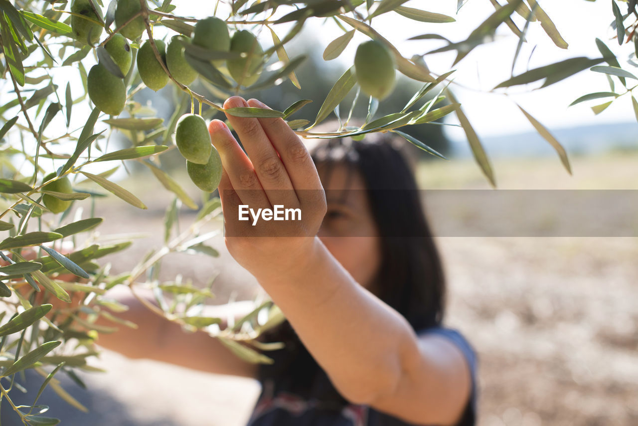 Woman picking fruits from tree