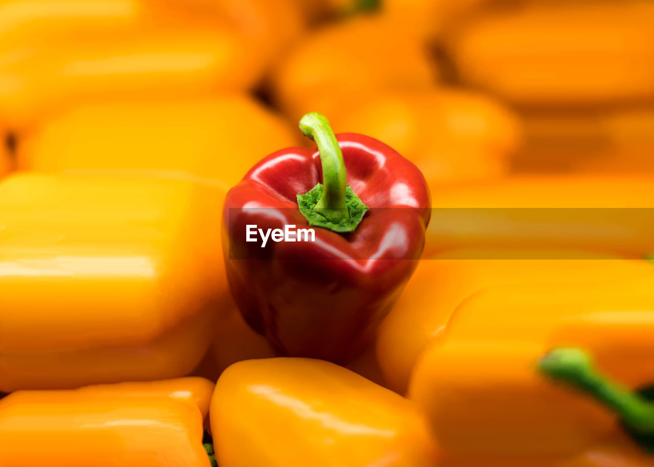 CLOSE-UP OF RED BELL PEPPER