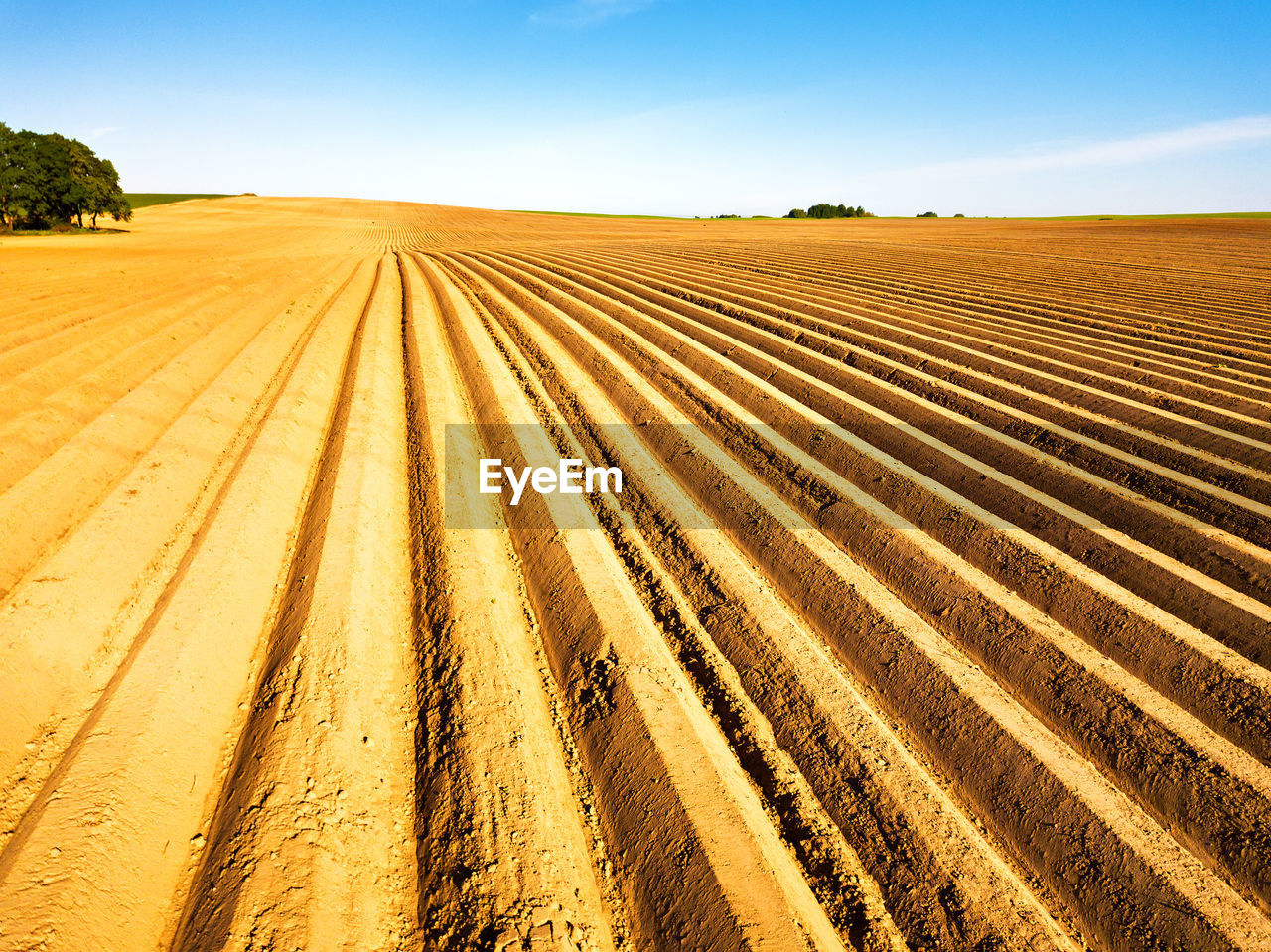 Furrows row pattern plowed field prepared planting crops spring. agricultural landscape, arable crop