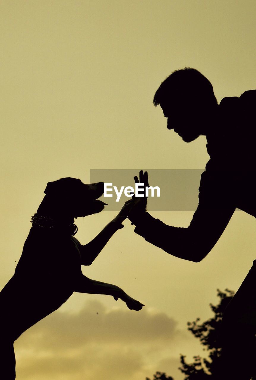 Silhouette young man giving high-five to dog while standing against sky during sunset