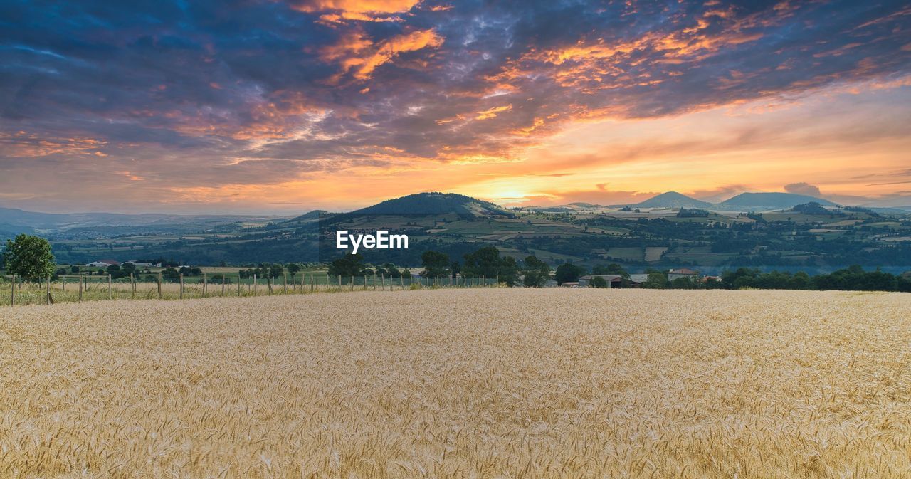 Scenic view of field against sky at sunset id 176050113
