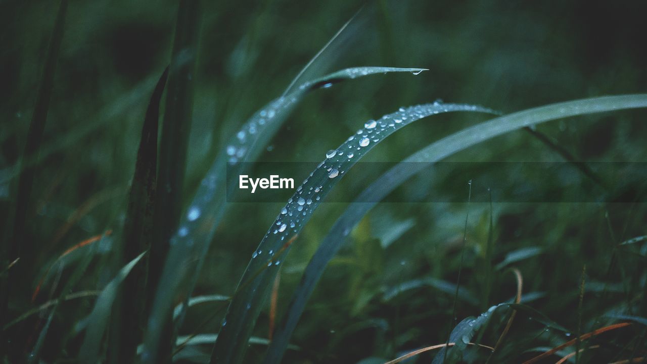 Water Drop Rain Wet Motion Nature Splashing On Eyeem
