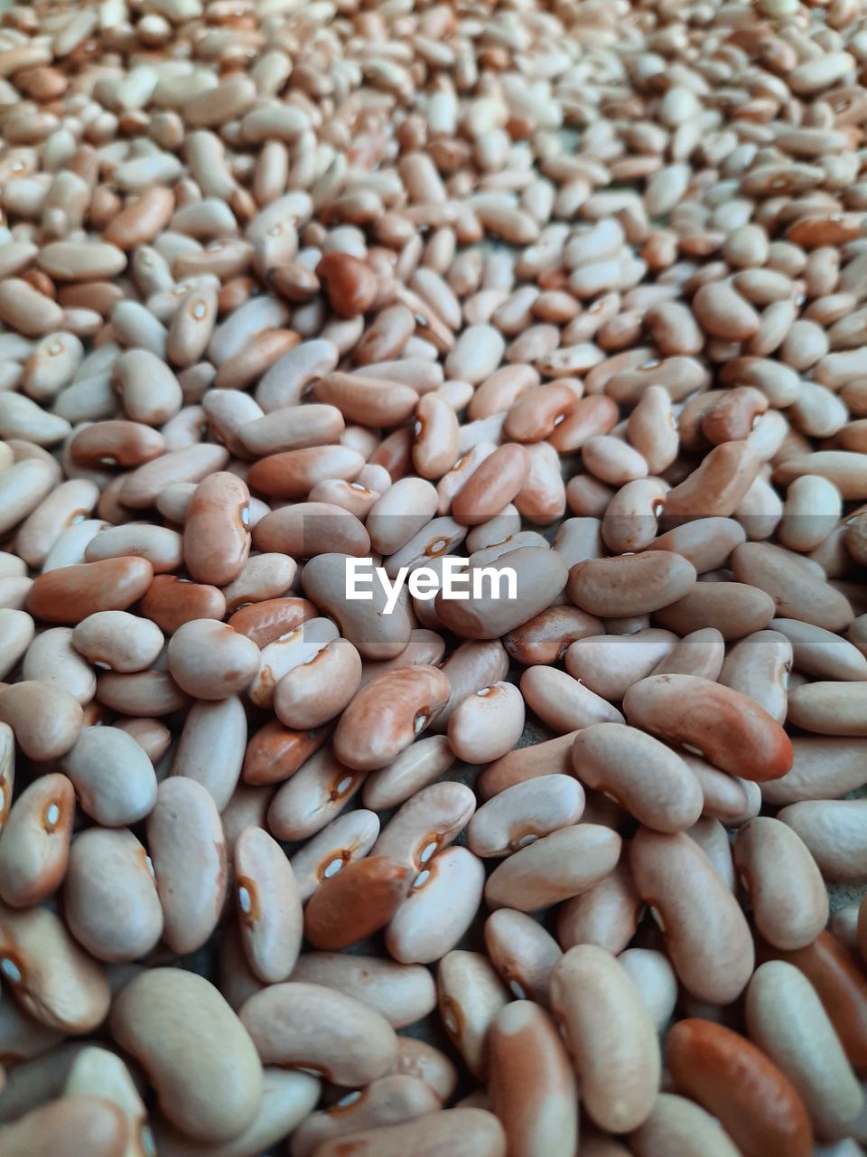 Close-up of organic healthy beans.